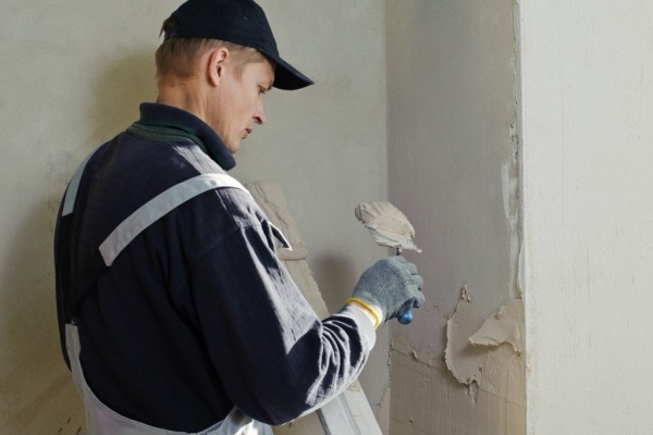 Schimmel an der Wand: Ursachen und richtige Sanierung